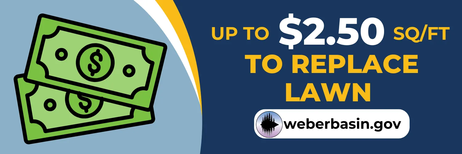 Get up to $2.50 per square foot to replace your lawn. Learn more at weberbasin.gov.