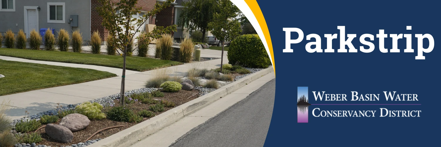 Parkstrip. A park strip planted with ornamental grasses, shrubs and boulders in place of lawn. Weber Basin Water Conservancy District