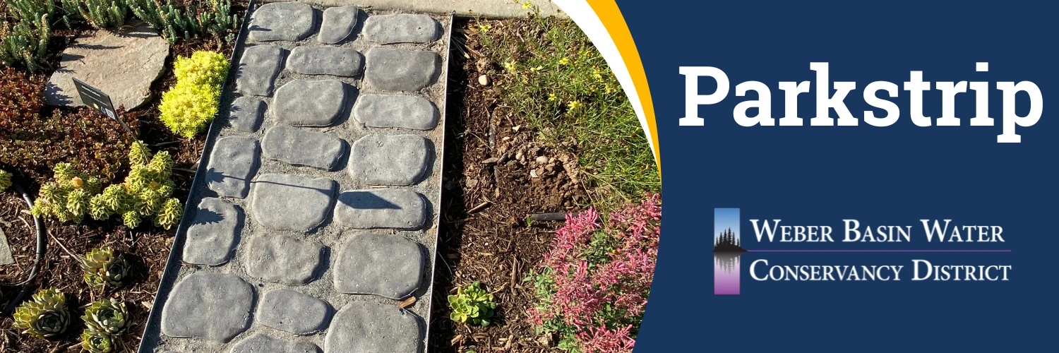 Parkstrip. A paver path through a park strip planted with succulents and ground covers. Weber Basin Water Conservancy District