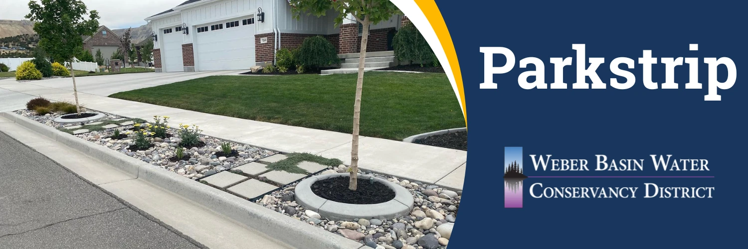 Parkstrip. A park strip of river rock, stepping stones and a tree in place of lawn. Weber Basin Water Conservancy District