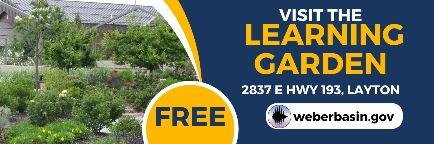 Visit the Learning Garden, free, at 2837 E Hwy 193 in Layton. weberbasin.gov
