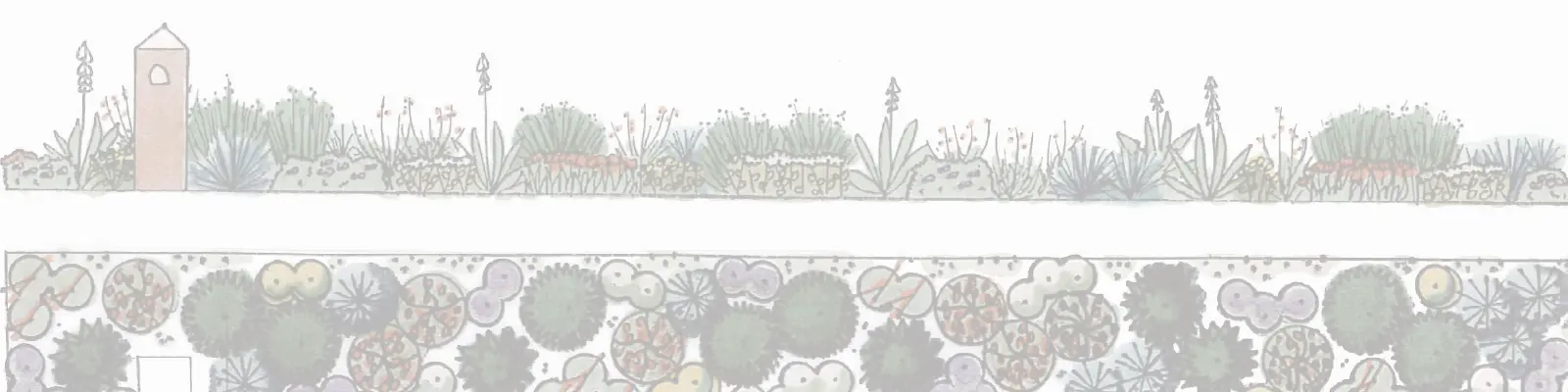 Image showing drawings or plants in an arrange landscapse from an overhead view and a side view.